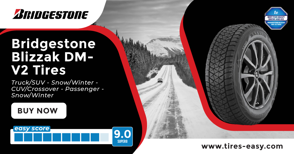 Bridgestone Blizzak DM-V2