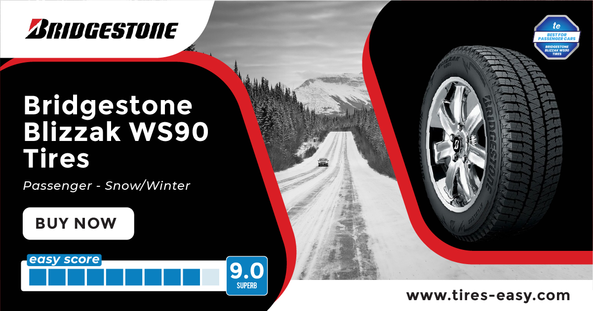 Bridgestone Blizzak WS90