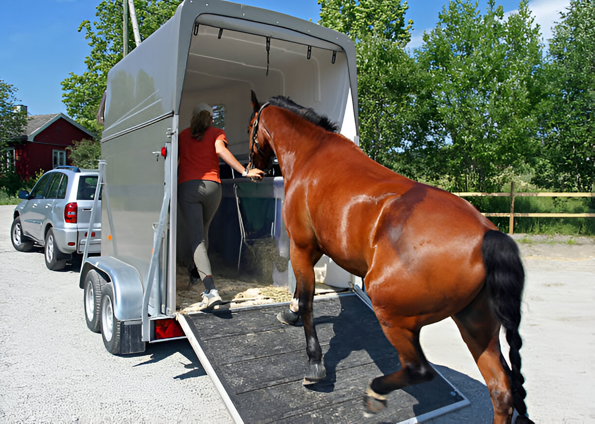 Best Horse Trailer Tires