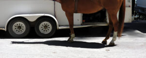 Ultimate Horse Trailer Tires