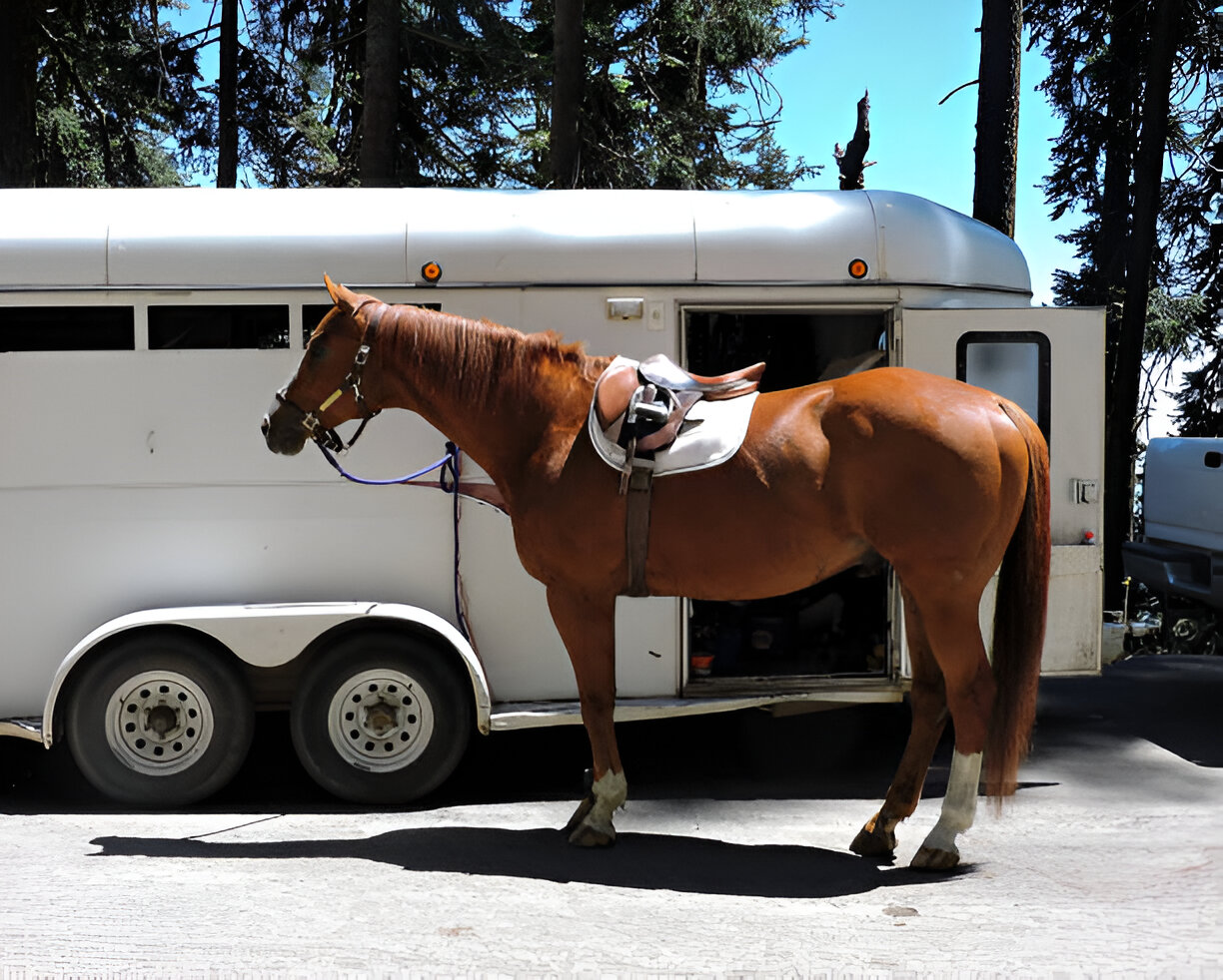 Ultimate Horse Trailer Tires