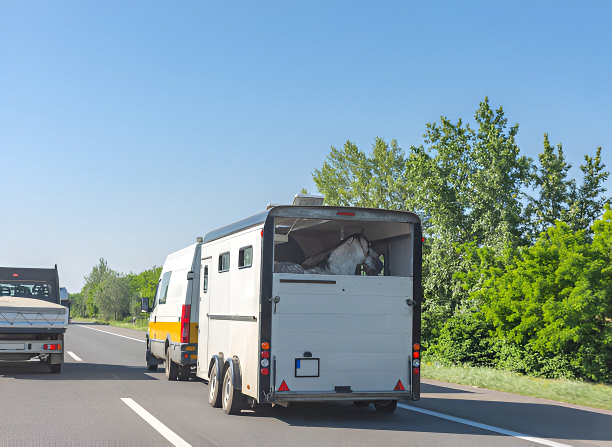 Best Horse Trailer Tires