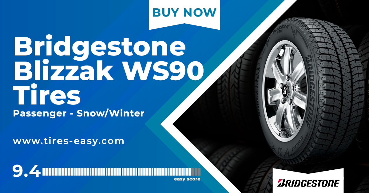 Bridgestone Blizzak WS90