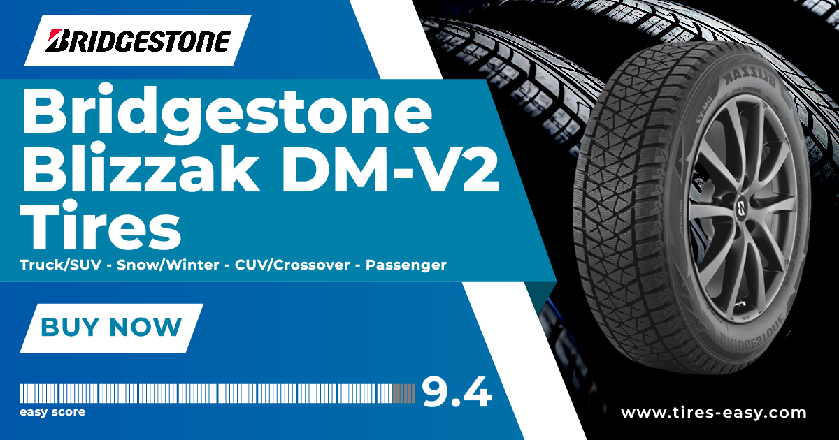 Bridgestone Blizzak DM-V2