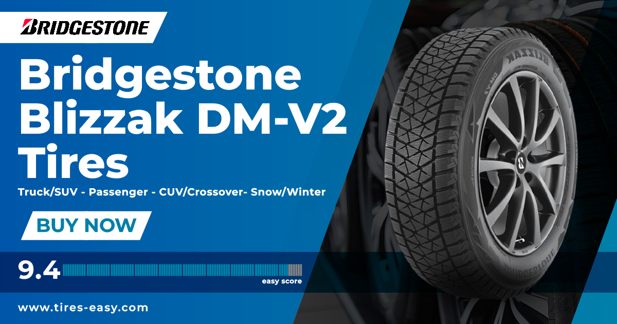 Bridgestone Blizzak DM-V2