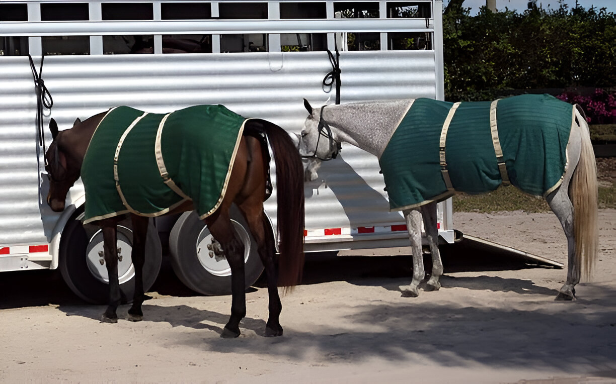 Horse Trailer Tires