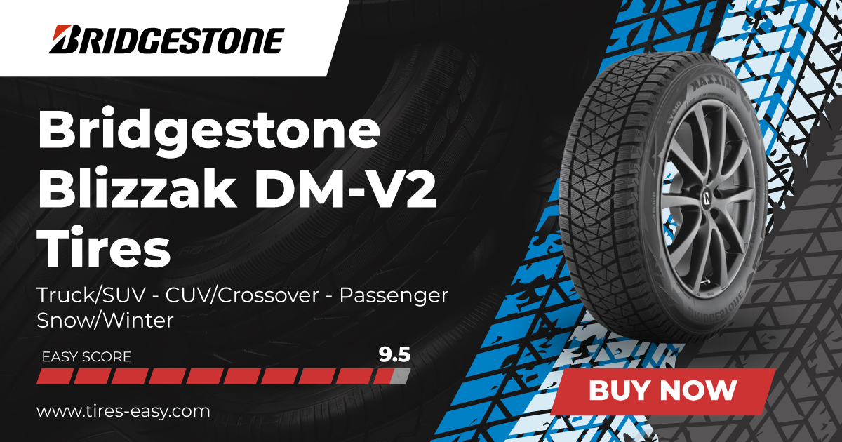 Bridgestone Blizzak DM-V2