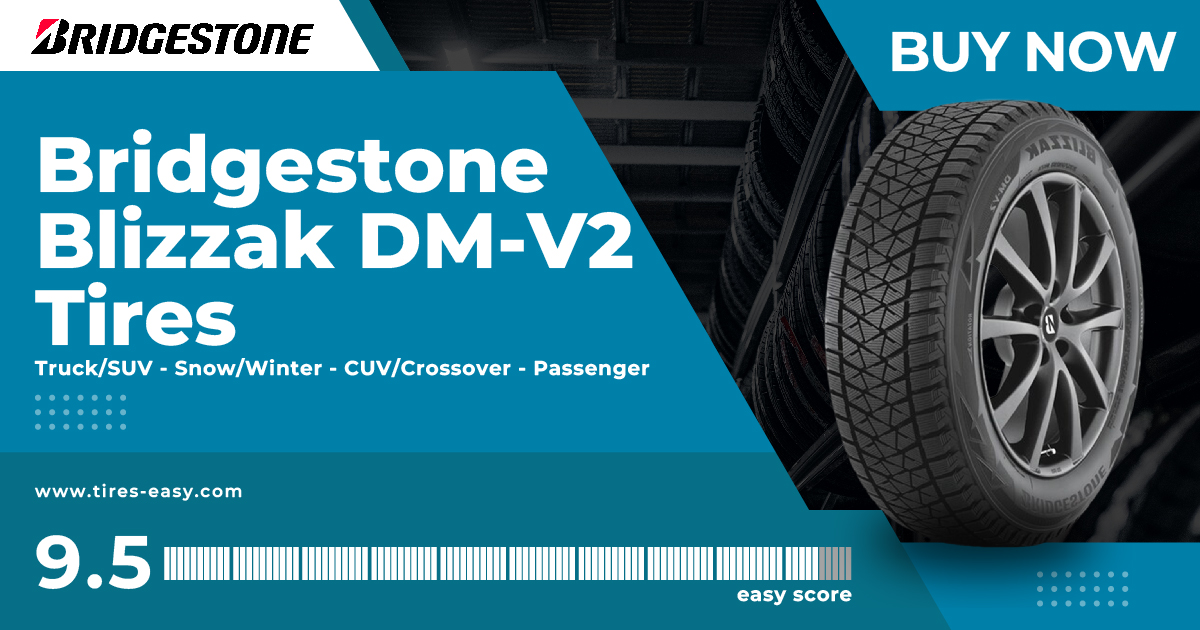 Bridgestone Blizzak DM-V2