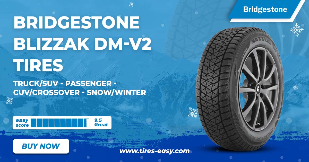 Bridgestone Blizzak DM-V2