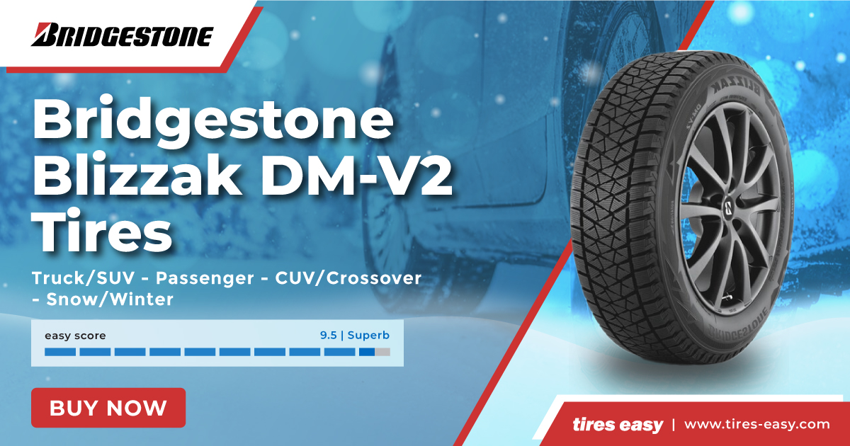 Bridgestone Blizzak DM-V2